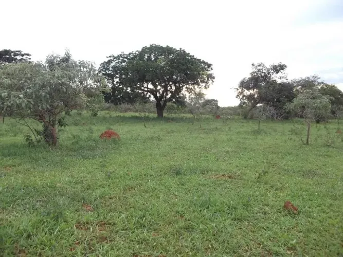 Chácara de 20.000 m² toda cercada, com riacho nos fundos, Jaboticatubas.