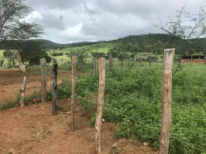 Vendo fazenda em itaberaba pronta