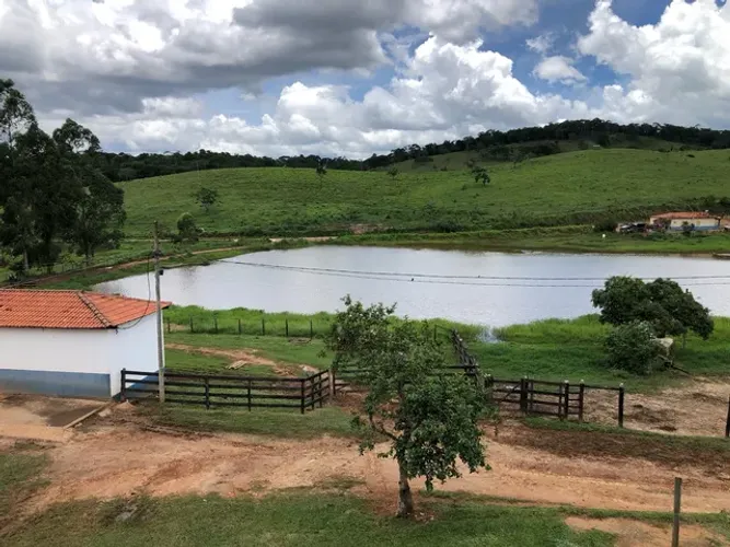 Fazenda 350 Hectares 