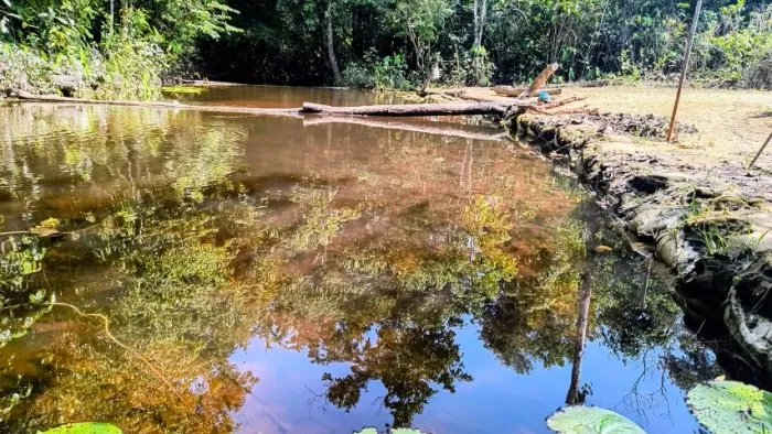 ATENÇÃO!!!!!! Sitio com Igarapé, com 10 hectares, - próximo cachoeira castanh