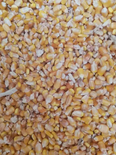 Milho, soja, rações 