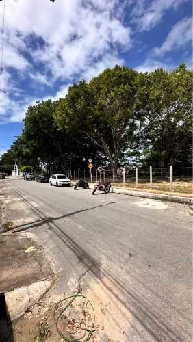 Oportunidade no barro duro 82x30