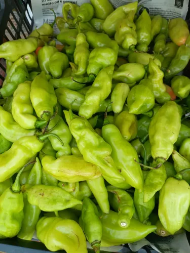 Cenoura/batata/pimentinha/Cebola HortFruit