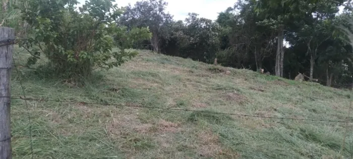 Vendo Terreno 1.000m²