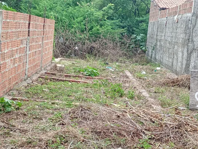 Vendo esse terreno nas barrocas rua nova próximo a Romário gesso emteresado chama no