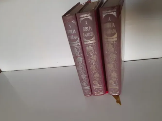 a bíblia sagrada antigo e novo testamento 3 volumes Pe Antonio de Figueredo bom estado