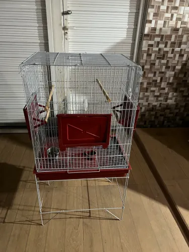 Gaiola para Calopsitas