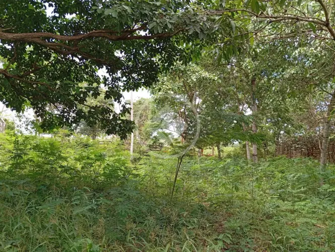 vende chácara na comunidade ninho das aguas em livramento, codigo: 95920