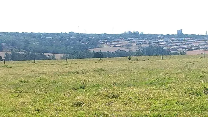 AVIÁRIO - Área Rural 4 Alqueires - Santa Fé - Paraná