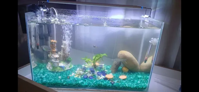 Vende se aquario 24Litros