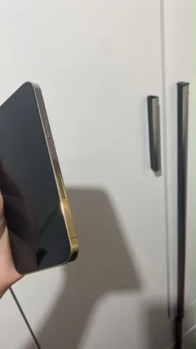 Celular IPhone