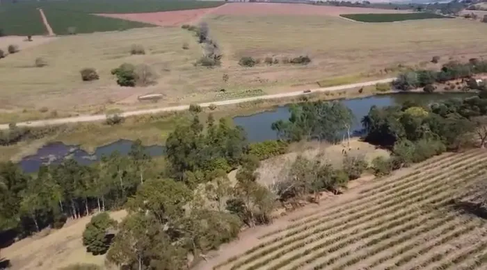Magnífica Fazenda à Venda em Elói Mendes, Sul de Minas Gerais, com uma Extensão de 60,5 Ha