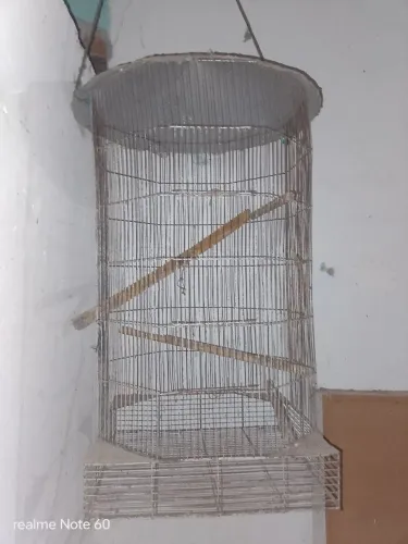 Gaiola grande