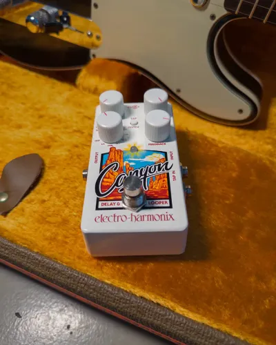 Electro-Harmonix Canyon