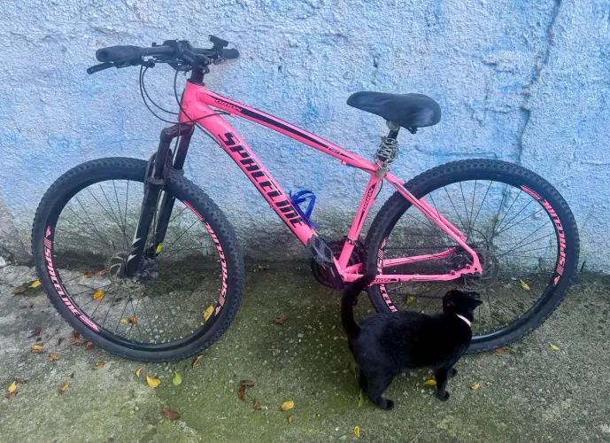 Vendo Bike quadro 17, aro 29, 21 marchas, câmbio shimano,