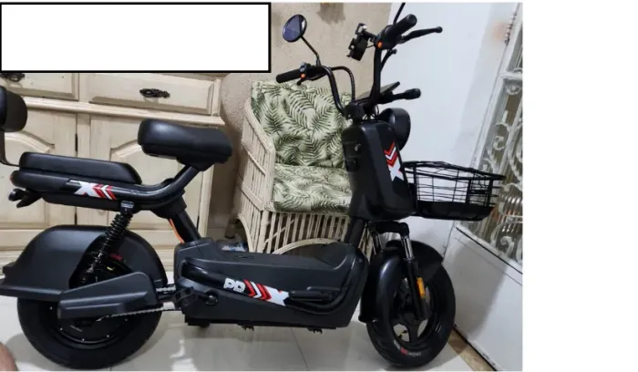 Bicicleta Elétrica Panda J10 800W