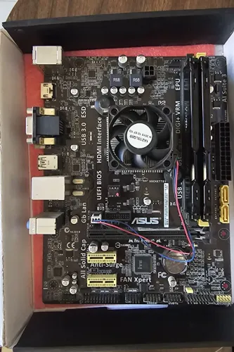Placa mãe ASUS AM1M-A|BR (Socket AM1)