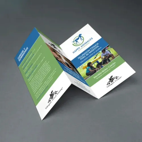 Folders, Cartaz e panfletos