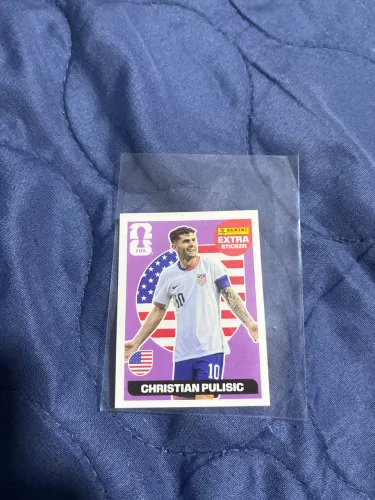 Christian pulisic bordo