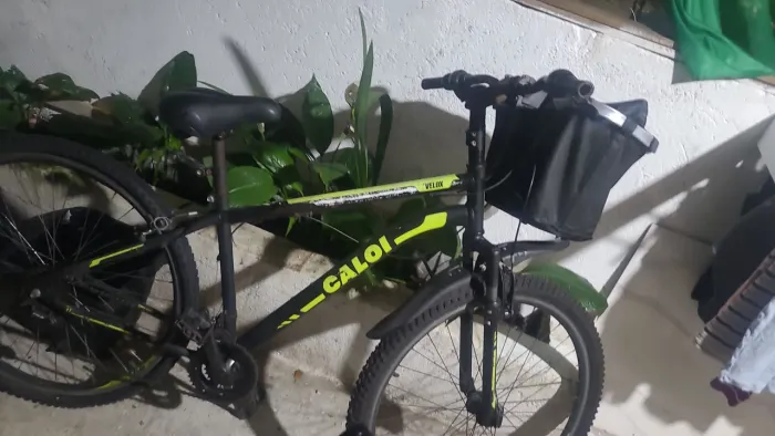 Caloi Velox aro 29.