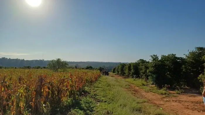 Chácara de 20 mil metros - Vera Cruz - SP
