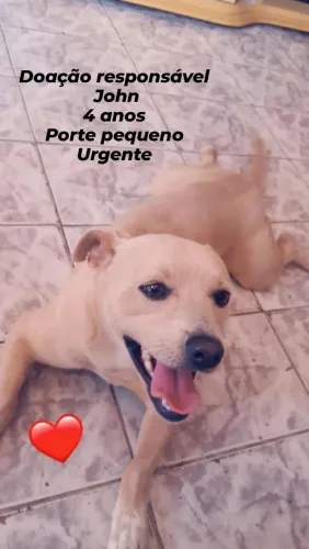 Doação responsável 