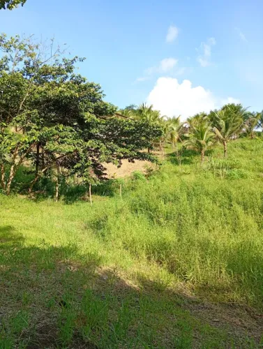Vende-se Sítio de 1 Hectares no Engenho Sabiá 