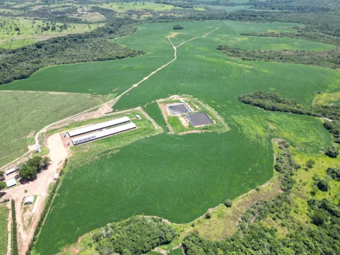 Fazenda de 1.357 hec em Caiapônia Go. 869 hec abertos 100mm
