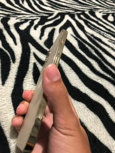 iPhone 12 Pro