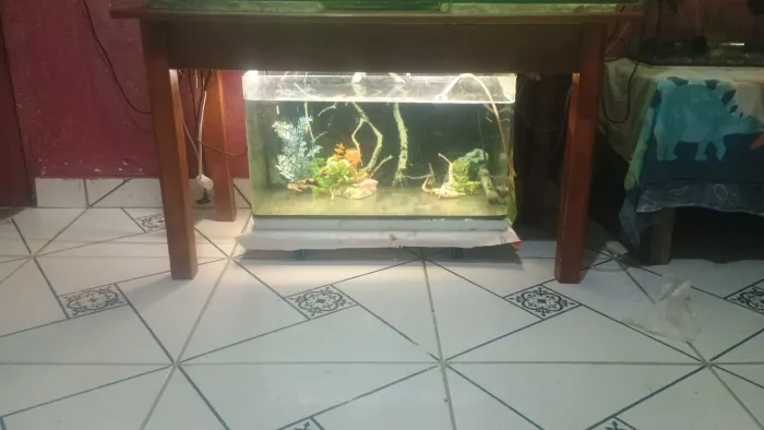 Aquário 60 litros