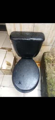 Vaso sanitário