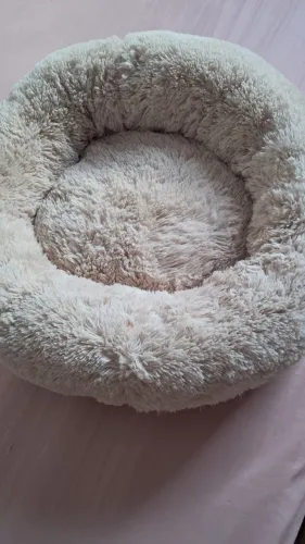 Cama para gato