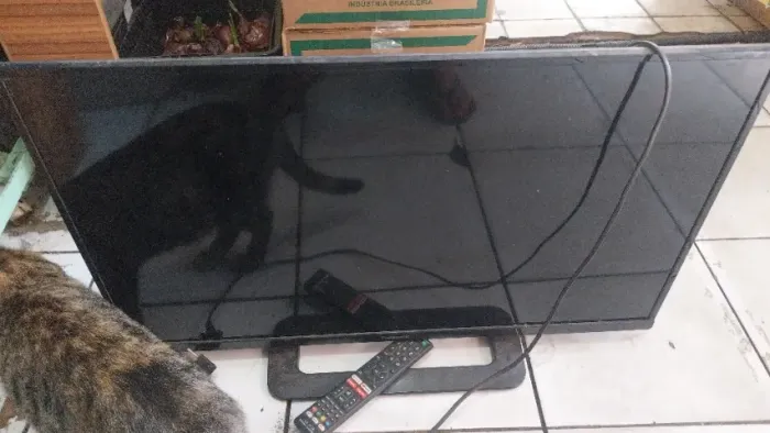TV