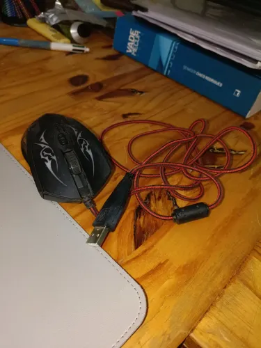 Mouse