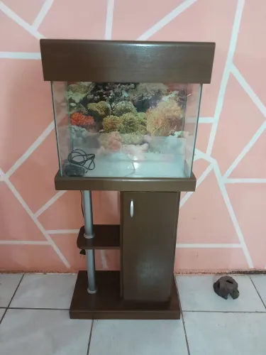Aquário completo