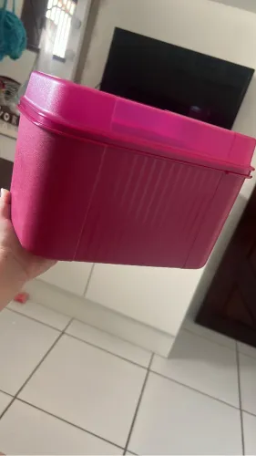 Visual box tupperware 4,5L