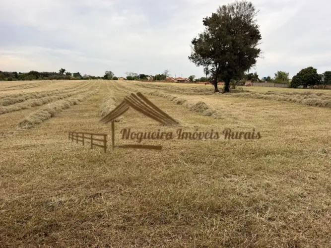 Sitio com 2 alqueires em Quadra-SP