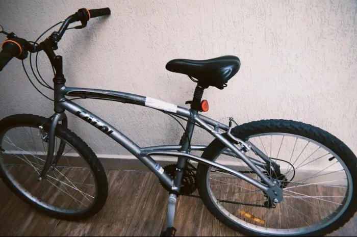 Bicicleta Caloi 100