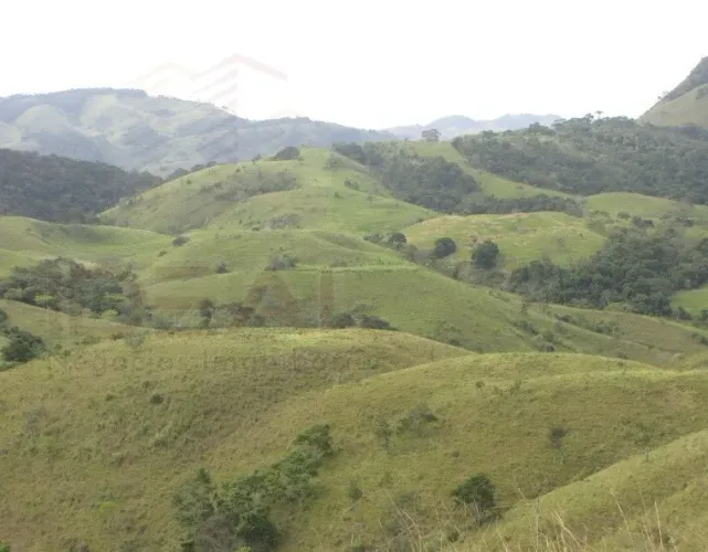 Fazenda em Centro - Italva