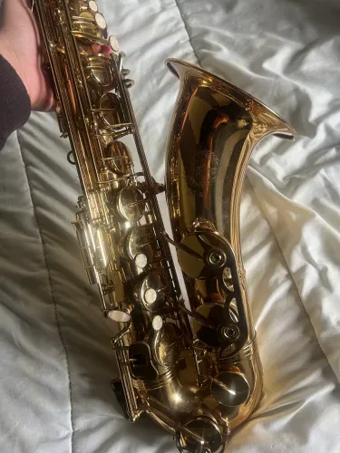 Saxofone HTS 407