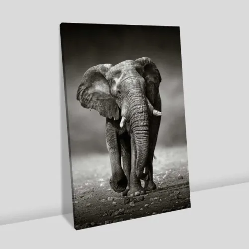 Quadro decorativo 1,60x1,00
