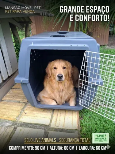 Caixa para transportar cães