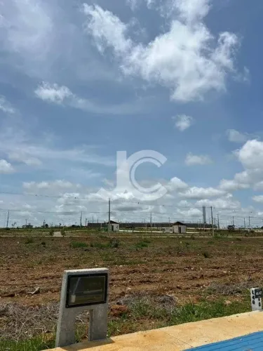 Casa de condomínio para venda possui 250 metros quadrados em Primavera - Vitória da Conqui