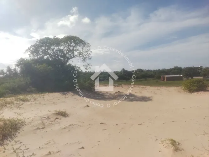 Sítio com Grande Área à Venda na Zona de Expansão| Ótimo para investimento!