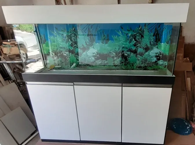 Aquário