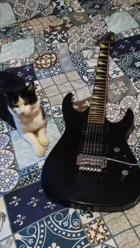 Guitarra Phil Pro