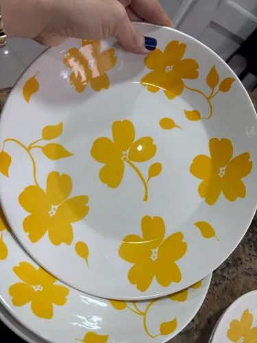Kit pratos de almoço/jantar decorados