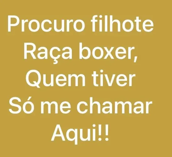 Quem tiver filhote de boxer , interesso ok