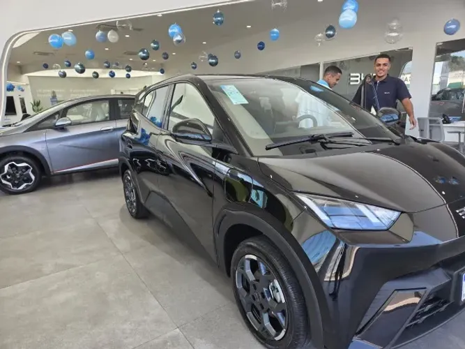 BYD Dolphin Mini (Elétrico) 2027