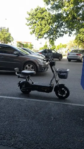 Scooter elétrica premium 500W